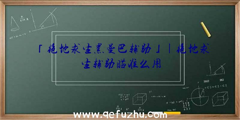 「绝地求生黑曼巴辅助」|绝地求生辅助瞄准么用